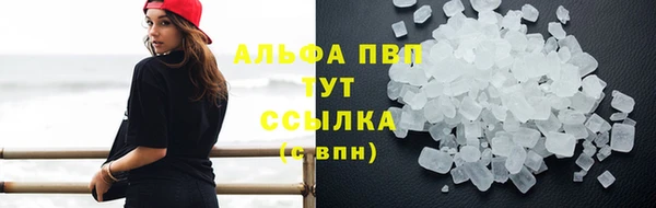 каннабис Белокуриха