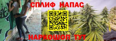 гидра Бузулук