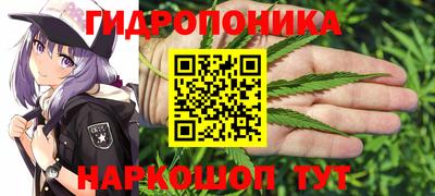 мяу мяу мука Будённовск