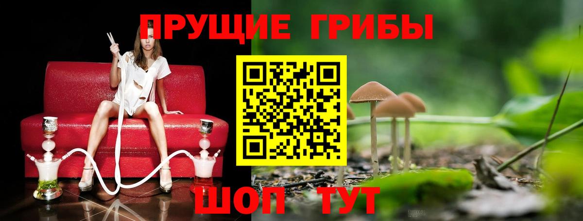 Гатчина  Псилоцибиновые грибы MAGIC MUSHROOMS  Галлюциногенные грибы ЛСД  Вход с VPN 
