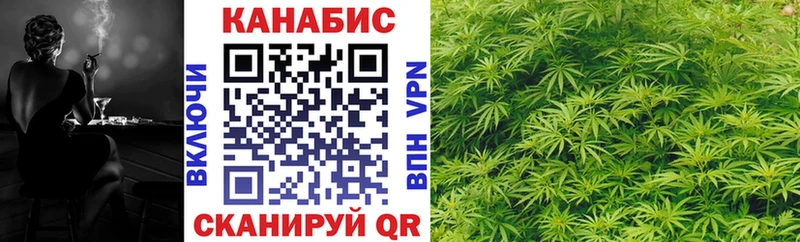 kraken рабочий сайт  Гатчина  Бошки Шишки OG Kush 