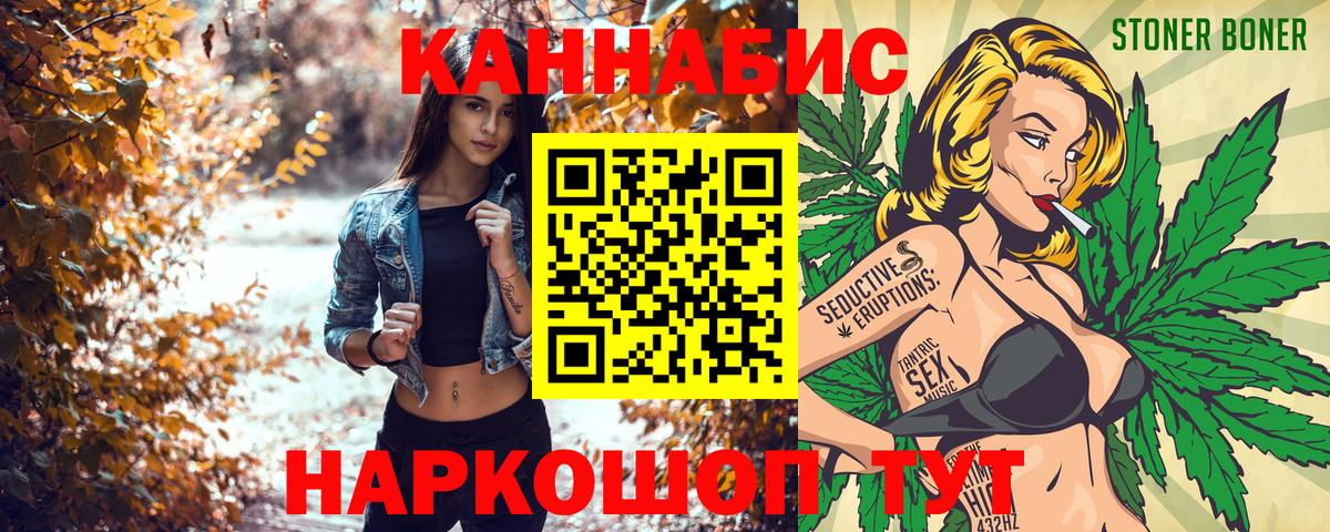 Канабис гибрид Гатчина